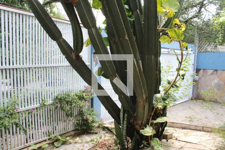 Casa para alugar com 240m², 4 quartos e 4 vagasQuintal