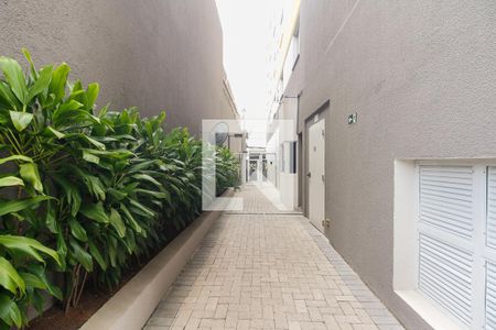 Apartamento para alugar com 26m², 1 quarto e sem vagaCondomínio - Entrada