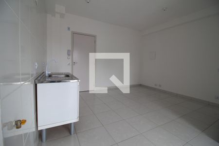 Sala/Cozinha/Quarto de apartamento para alugar com 1 quarto, 33m² em Vila Formosa, São Paulo