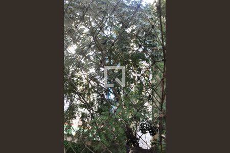 Apartamento à venda com 64m², 3 quartos e 1 vagaVista do Quarto 01