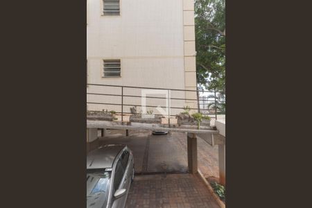 Vista da Suíte de apartamento para alugar com 3 quartos, 62m² em São Bernardo, Campinas
