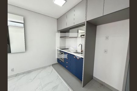 Cozinha de apartamento para alugar com 1 quarto, 30m² em Vila Santa Catarina, São Paulo