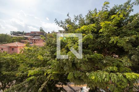 Vista do Quarto 1 de apartamento para alugar com 2 quartos, 54m² em Jardim Ouro Preto, São Paulo