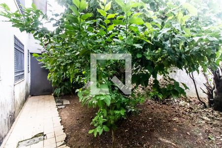 Casa à venda com 200m², 4 quartos e 4 vagasQuintal 2