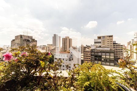 Jardineira de apartamento para alugar com 1 quarto, 67m² em Santa Cecilia, São Paulo