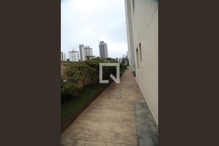 Apartamento à venda com 194m², 5 quartos e 3 vagasArea comum - PIsta de caminhada