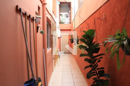 Casa à venda com 300m², 3 quartos e 2 vagasQuintal