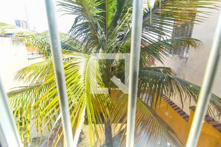 Casa para alugar com 130m², 2 quartos e sem vagaVista da Cozinha