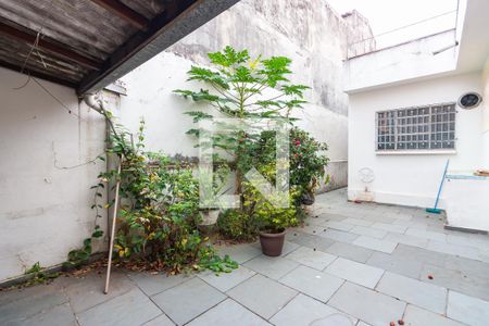 Casa para alugar com 218m², 3 quartos e 3 vagas Casa para alugar com 218m², 3 quartos e 3 vagasQuintal