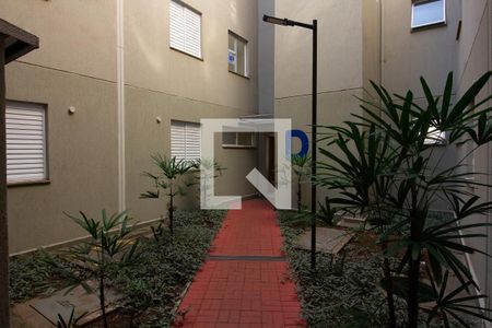 Apartamento para alugar com 45m², 2 quartos e 1 vagaÁrea Comum