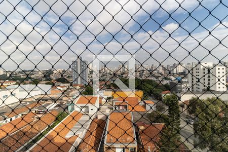 Apartamento para alugar com 48m², 2 quartos e 1 vagaVista da Lavanderia