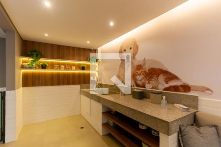 Apartamento para alugar com 28m², 1 quarto e sem vagaEspaço pet