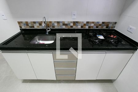 Cozinha - Armários de apartamento para alugar com 1 quarto, 45m² em Jardim Primavera (zona Norte), São Paulo