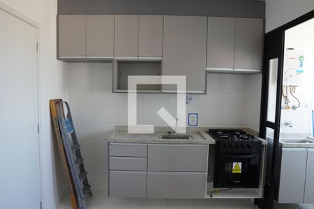 Cozinha de apartamento para alugar com 2 quartos, 37m² em Umarizal, São Paulo