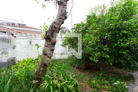 Casa à venda com 80m², 2 quartos e 6 vagas Casa à venda com 80m², 2 quartos e 6 vagasJardim