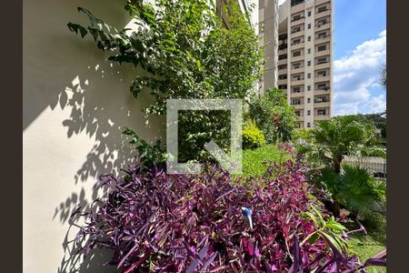 Jardim Sacada de apartamento para alugar com 3 quartos, 210m² em Brooklin Novo, São Paulo
