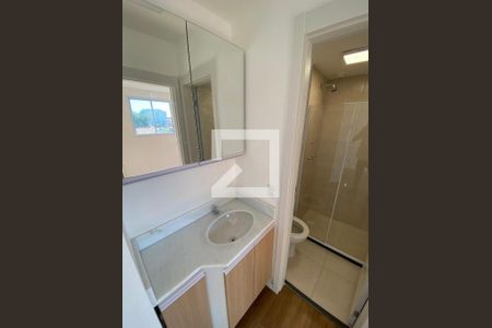 Lavabo de apartamento para alugar com 1 quarto, 35m² em Riachuelo, Rio de Janeiro