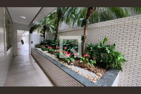 Jardim de apartamento para alugar com 2 quartos, 93m² em Pompéia, Santos