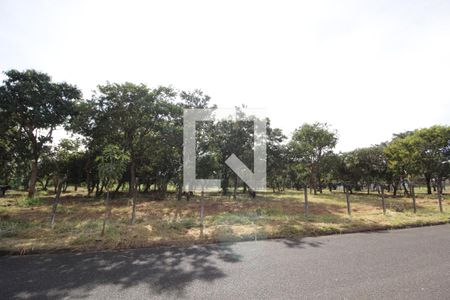 Apartamento para alugar com 50m², 2 quartos e 1 vagaVista da Rua