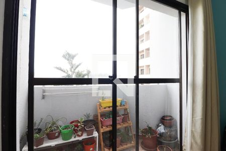 Varanda da Sala de apartamento à venda com 2 quartos, 50m² em Vila Mangalot, São Paulo
