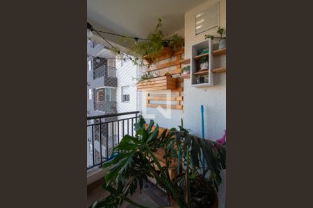 Varanda de apartamento para alugar com 2 quartos, 50m² em Instituto de Previdência, São Paulo