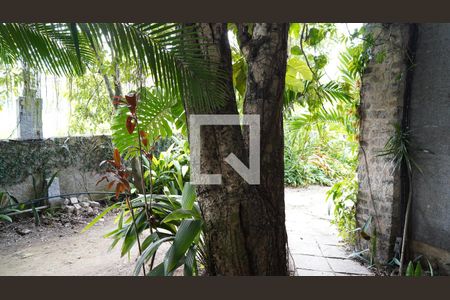 Apartamento para alugar com 50m², 1 quarto e 1 vagaQuintal