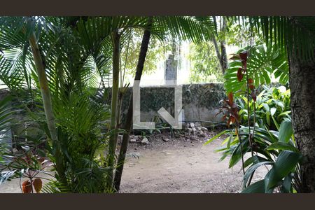 Apartamento para alugar com 50m², 1 quarto e 1 vagaQuintal
