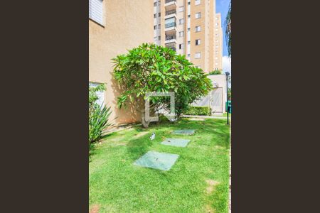 Apartamento para alugar com 68m², 2 quartos e 1 vagaJardim