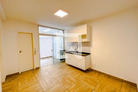 Sala/Cozinha de apartamento para alugar com 2 quartos, 45m² em Vila Monumento, São Paulo