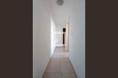 Corredor de apartamento para alugar com 2 quartos, 46m² em Jardim Nova Europa, Campinas