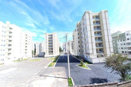 Vista do Quarto 2 de apartamento para alugar com 2 quartos, 46m² em Jardim Nova Europa, Campinas