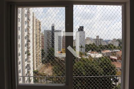 Vista sala de apartamento para alugar com 2 quartos, 61m² em Jardim Umarizal, São Paulo