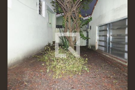 Casa à venda com 220m², 4 quartos e 5 vagasVista 