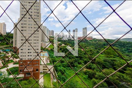 Vista de apartamento à venda com 2 quartos, 78m² em Vale do Sereno, Nova Lima