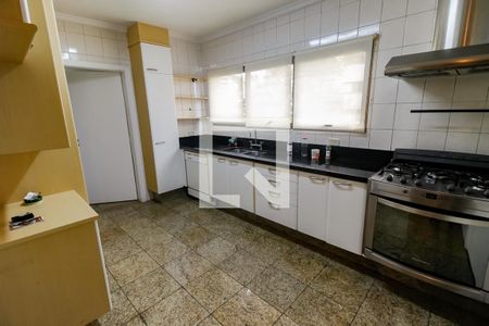 Apartamento à venda com 390m², 6 quartos e 4 vagasCozinha - Armários