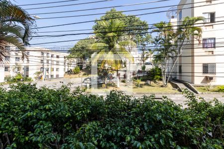 Vista do Quarto 1 de apartamento para alugar com 3 quartos, 53m² em Campo Grande, Rio de Janeiro