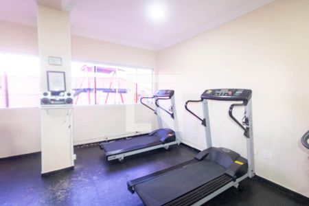 Área comum - Academia de apartamento para alugar com 3 quartos, 79m² em Vila Pires, Santo André