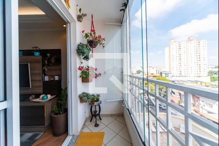 Varanda da Sala de apartamento para alugar com 3 quartos, 79m² em Vila Pires, Santo André