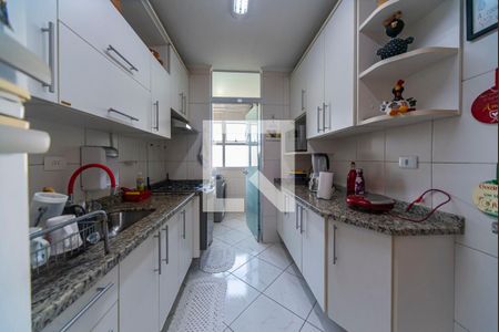 Cozinha de apartamento para alugar com 3 quartos, 79m² em Vila Pires, Santo André