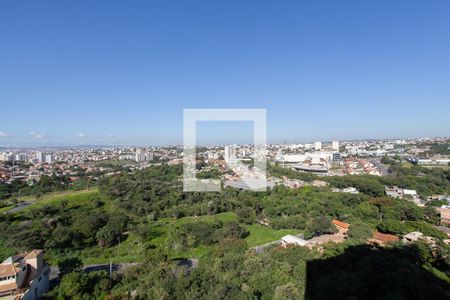 Vista do Quarto 1 de apartamento para alugar com 2 quartos, 55m² em Juliana, Belo Horizonte