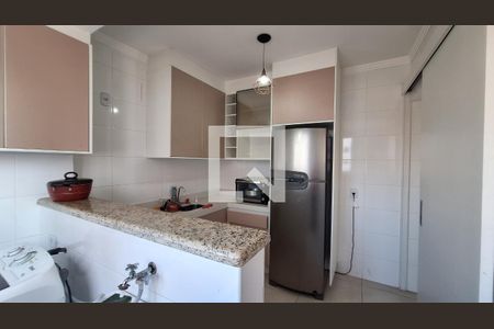 Cozinha de apartamento para alugar com 2 quartos, 80m² em Ocian, Praia Grande