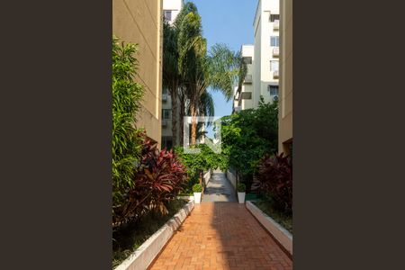Apartamento para alugar com 69m², 2 quartos e 1 vaga Apartamento para alugar com 69m², 2 quartos e 1 vagaÁrea comum - área Verde