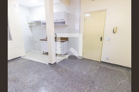 Sala/Cozinha de apartamento para alugar com 2 quartos, 49m² em Bom Retiro, São Paulo