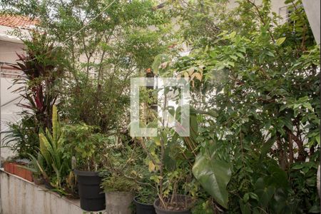 Casa à venda com 262m², 4 quartos e sem vaga Casa à venda com 262m², 4 quartos e sem vagaÁrea comum