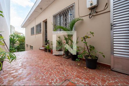 Casa à venda com 380m², 3 quartos e 3 vagasQuintal