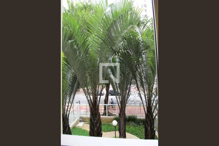 Vista do Quarto de apartamento para alugar com 1 quarto, 39m² em Indianópolis, São Paulo