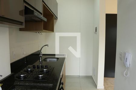 Apartamento para alugar com 36m², 1 quarto e sem vagaCozinha 