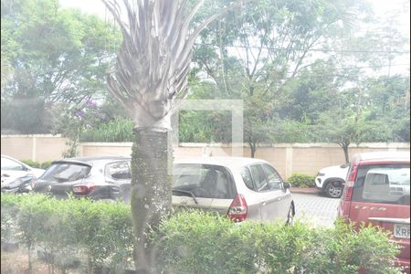 Apartamento para alugar com 49m², 2 quartos e 1 vagaVista da Sala