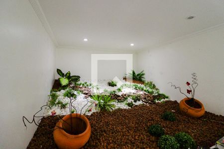 Sala de casa para alugar com 2 quartos, 80m² em Conjunto Residencial Santa Terezinha, São Paulo
