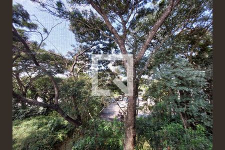 Vista de casa para alugar com 1 quarto, 20m² em Vila Friburgo, São Paulo